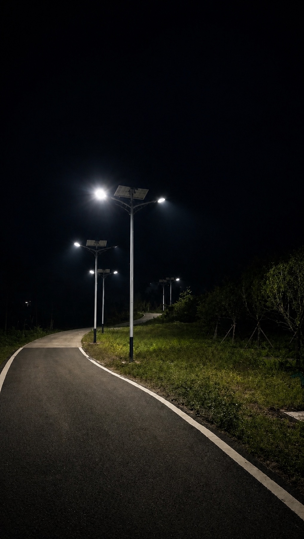 Road lit by solar LED street lights at night